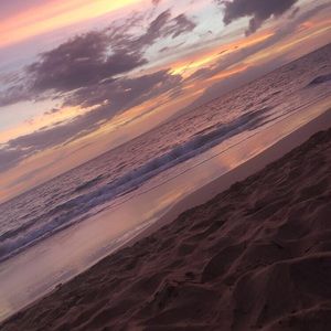 Meet your Posher, Bella